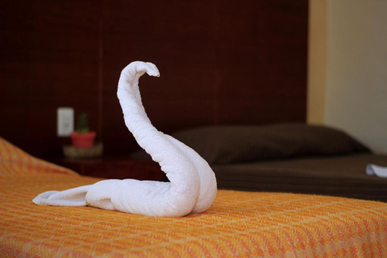 Hotel Las Mestizas バリャドリッド エクステリア 写真